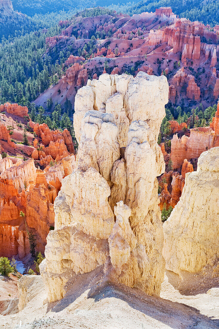 Sandstone formations, Bryce Canyon, Bryce Canyon National Park, Utah, USA