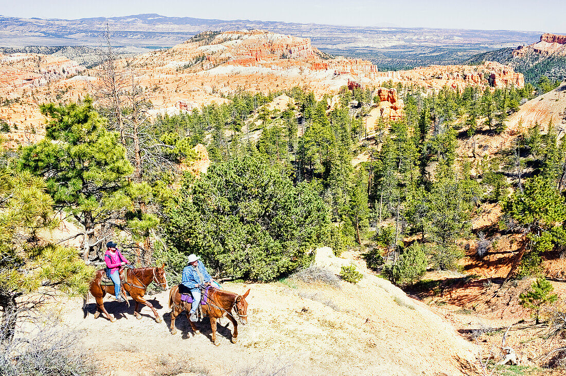 Horseback riders, Bryce Canyon, Bryce Canyon National Park, Utah, USA