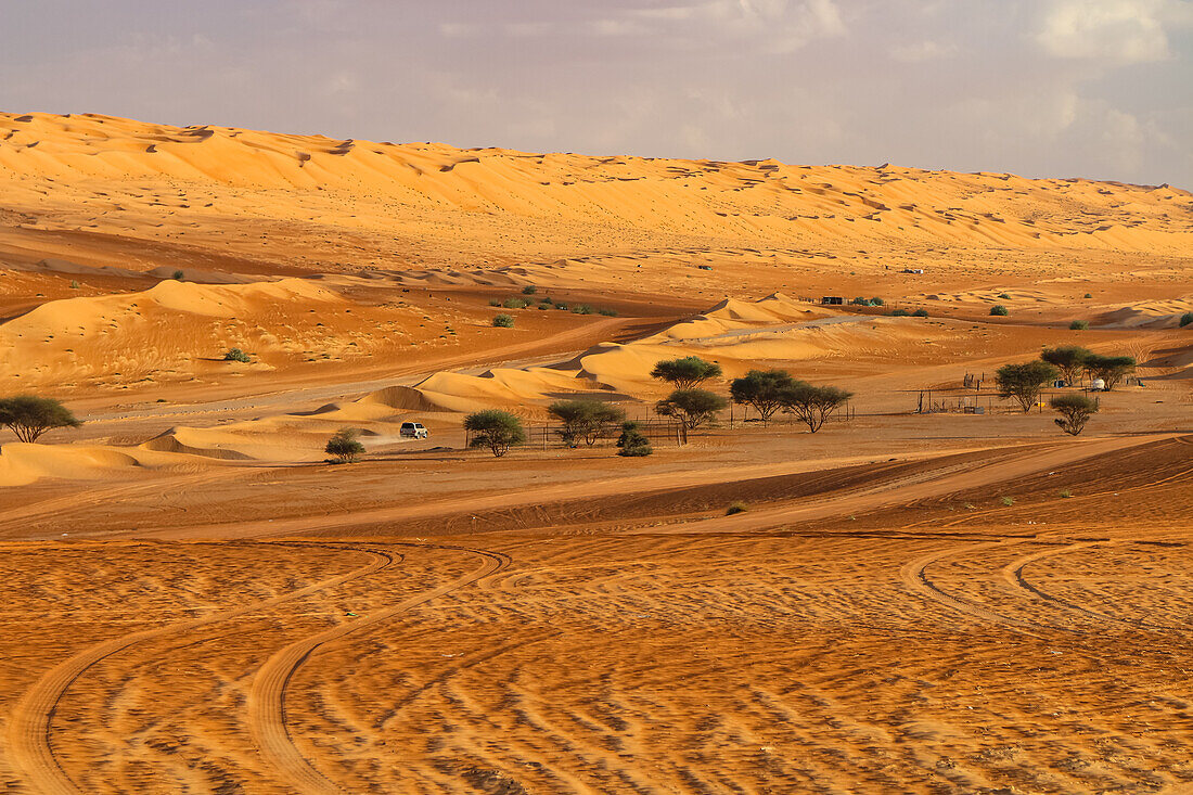 Die Rub al-Khali Wüste im Oman ist eine der größten Sandwüsten der Erde