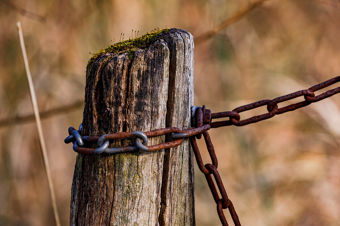 Eine Eisenkette ist verschraubt mit einem alten Holzpfahl in der freien Natur