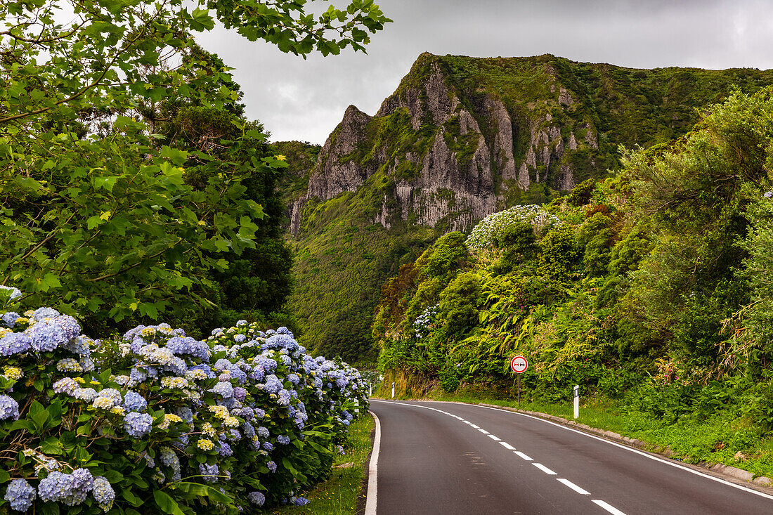 The impressive basalt formations Rochas dos Bordões on the Azores island of Flores