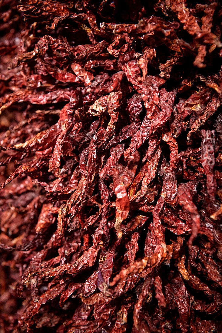 Getrocknete rote Chili, Chengdu, Sichuan Provinz, China, Asien