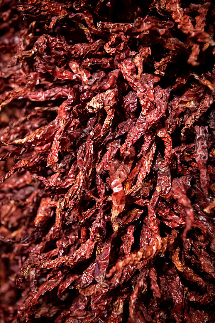 dried red chilli, Chengdu, Sichuan Province, China, Asia