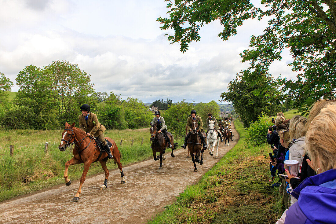 Zuschauer, Reiter, traditionelles Pferderennen, querfeldein, Galopp, Hawick Common Ridings, Borders, Schottland, UK 