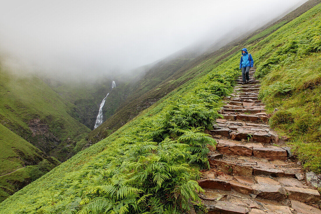 Gray Mare's Tail, waterfall, steep footpath with stone steps, Moffat Dale, A708, Borders, Scotland, UK