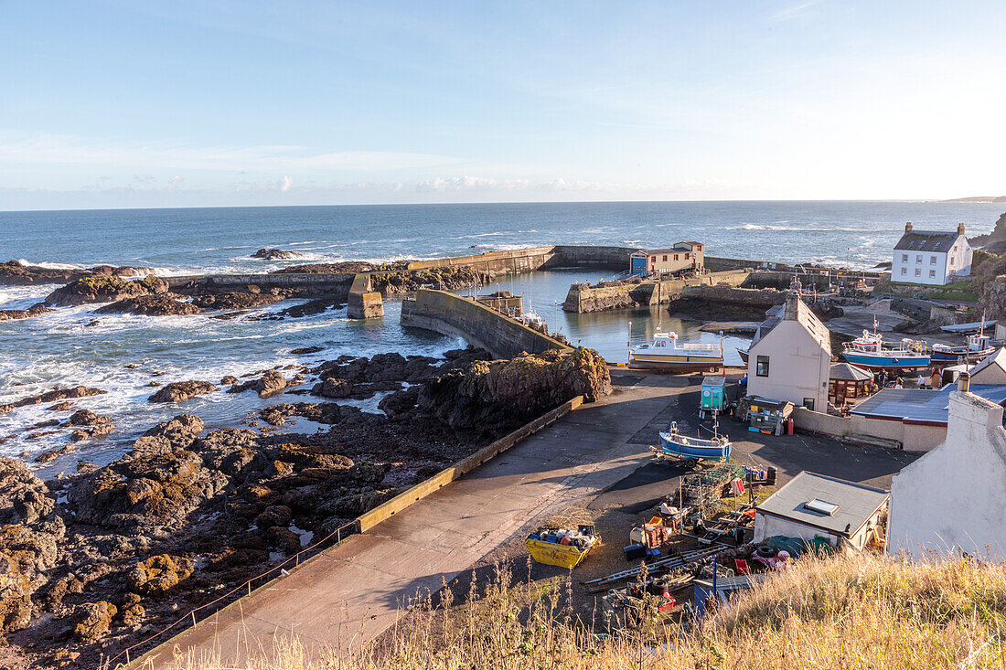 Hafen von St. Abbs, Ostküste bei Eyemouth, Schottland UK