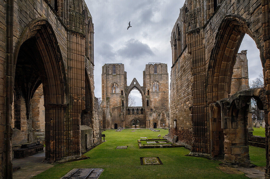 Kathedrale von Elgin, Querschiff und enthauptete Türme, Elgin Cathedral, Kirchenruine, Elgin, Moray, Schottland, UK