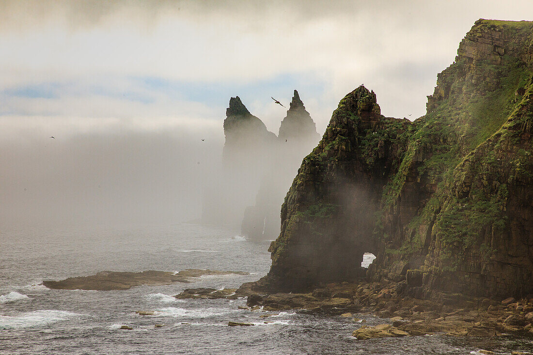 Duncansby Head, Sea Stacks im Seenebel, Caithness, Highlands, Schottland UK