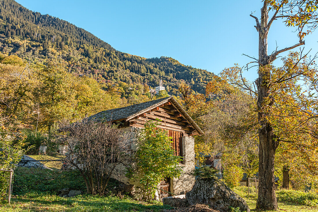 Kastanienfarm nahe Soglio im Bergell Tal im Herbst, Graubünden, Schweiz