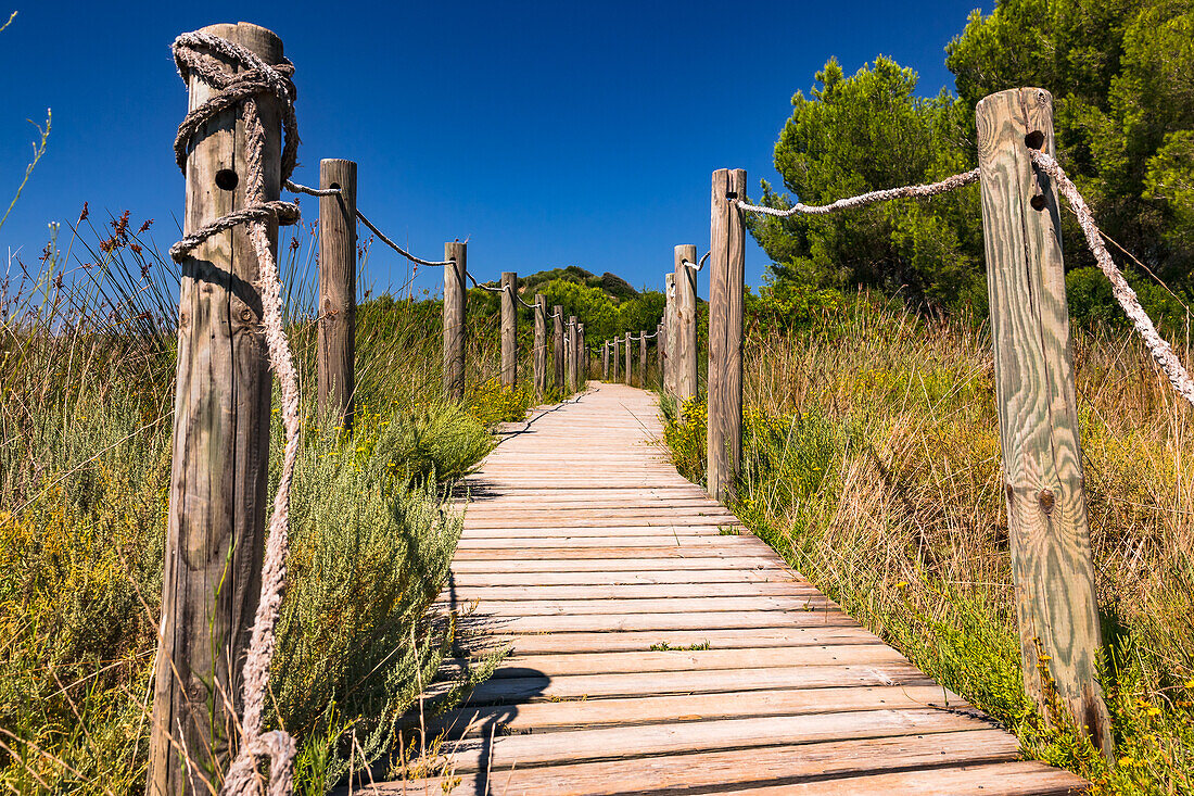 Wanderwege durch die Natur in einem spanischen Naturpark auf der Insel Menorca, Balearen, Spanien