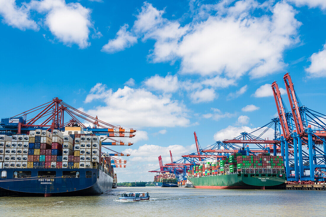 Container ships, container port, Terminal Burchardkai, Waltershof, Hamburg, Germany