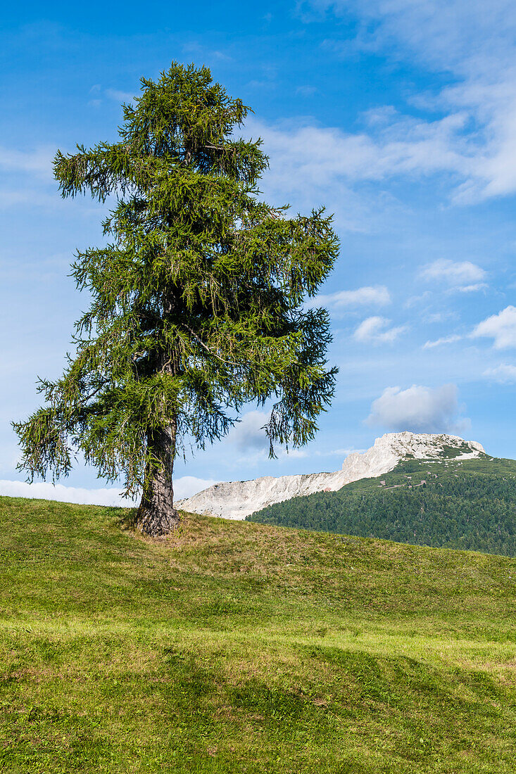 Mountain, Weißhorn, Aldein, Radein, South Tyrol, Alto Adige, Italy