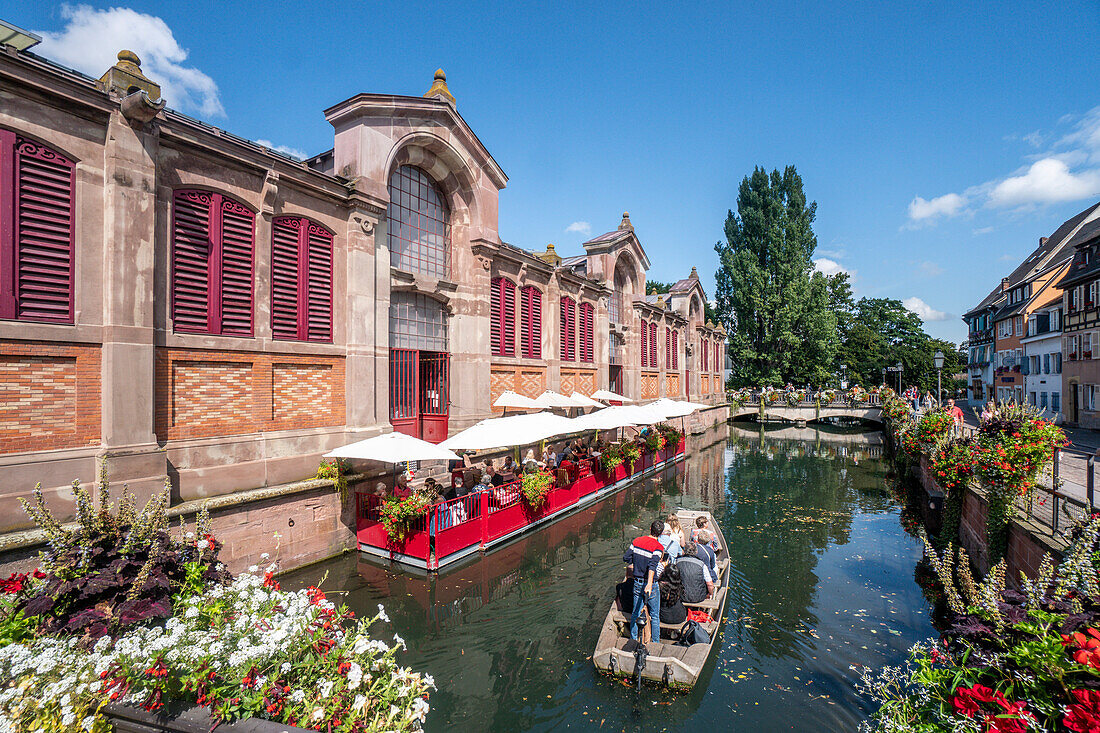 Market hall in Little Venice, wooden boat with tourists, canal, Colmar, Alsace, France, Europe