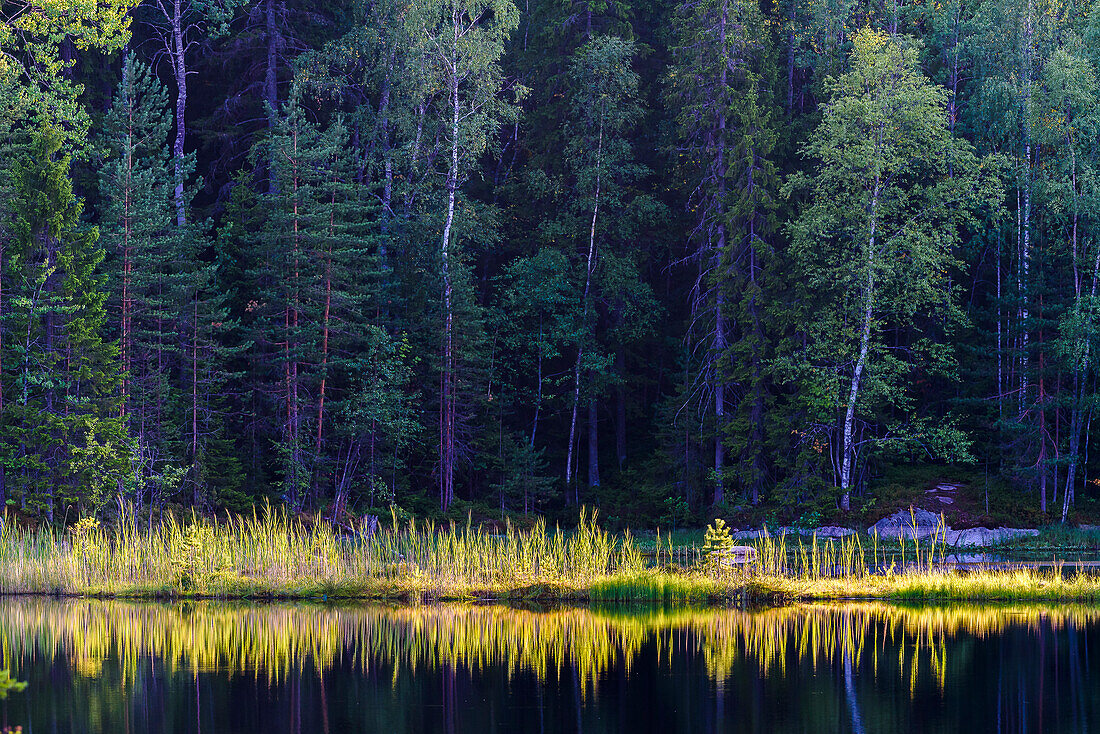 Nuuksio National Park, Espoo, Helsinki, Finland