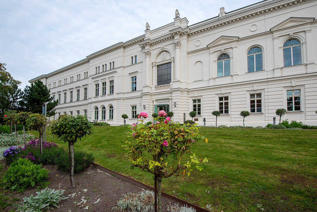 Leopoldina, Nationale Akademie der Wissenschaften, Halle, Sachsen-Anhalt, Deutschland