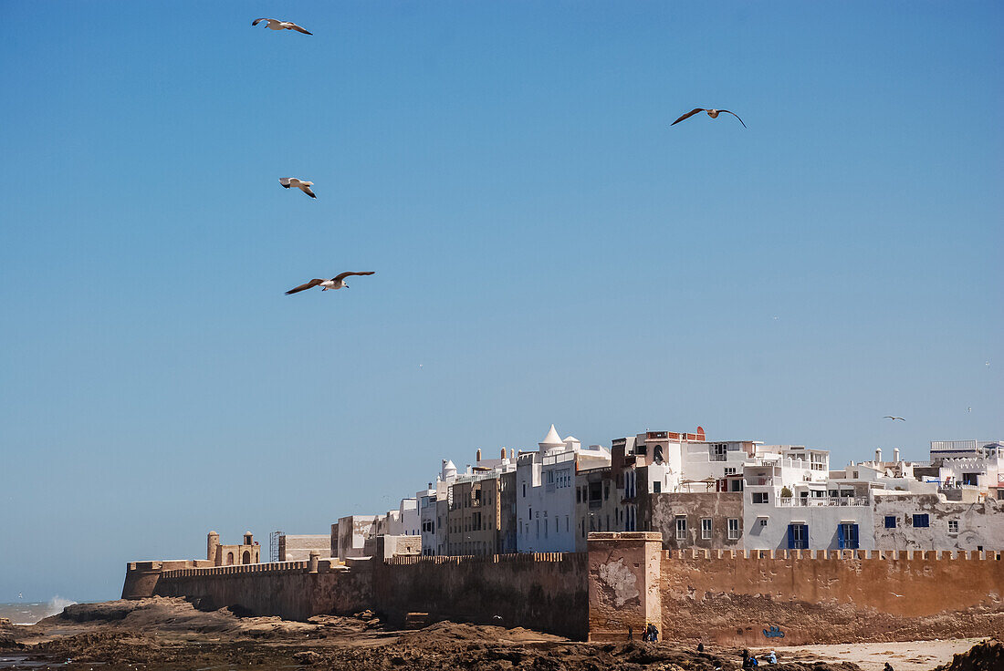 Essaouira landscape of the harbour and its ancient fortress, Morocco