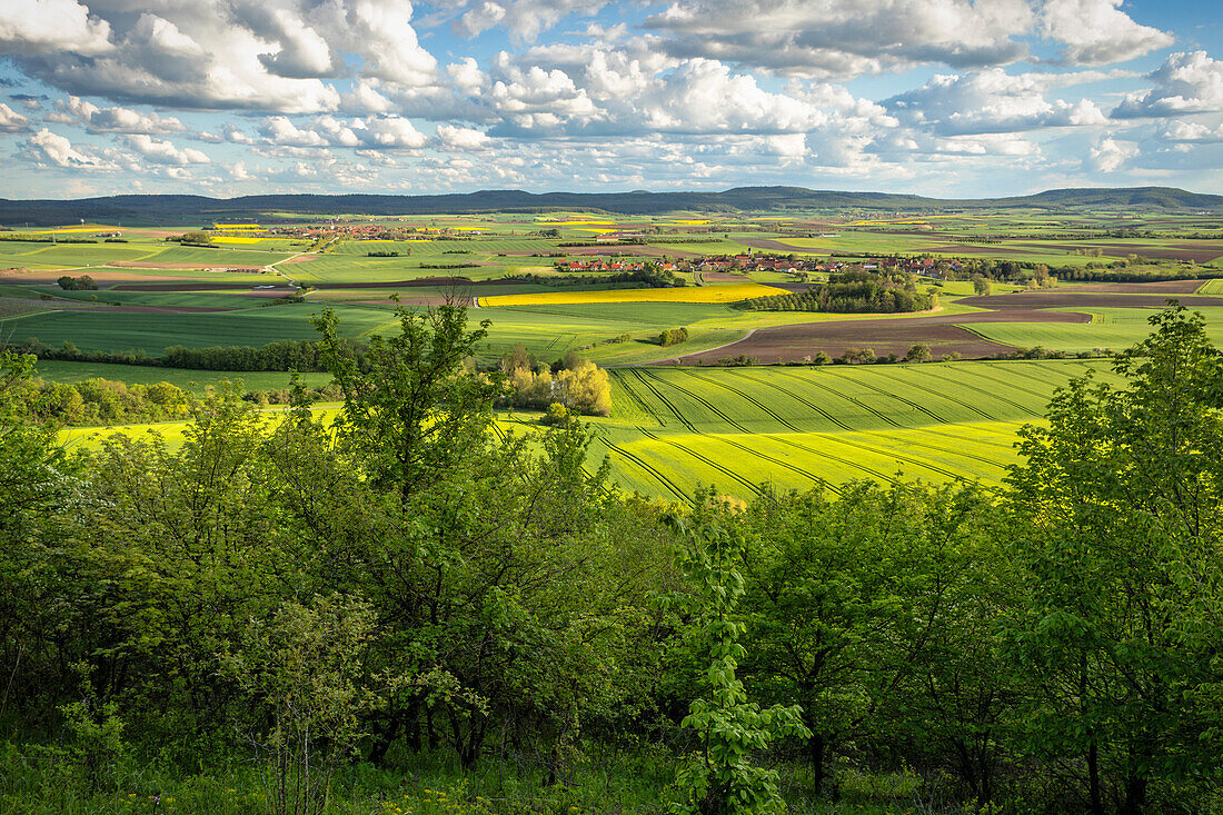 View from the castle hill into Hellmitzheim Bay, Markt Einersheim, Kitzingen, Lower Franconia, Franconia, Bavaria, Germany, Europe