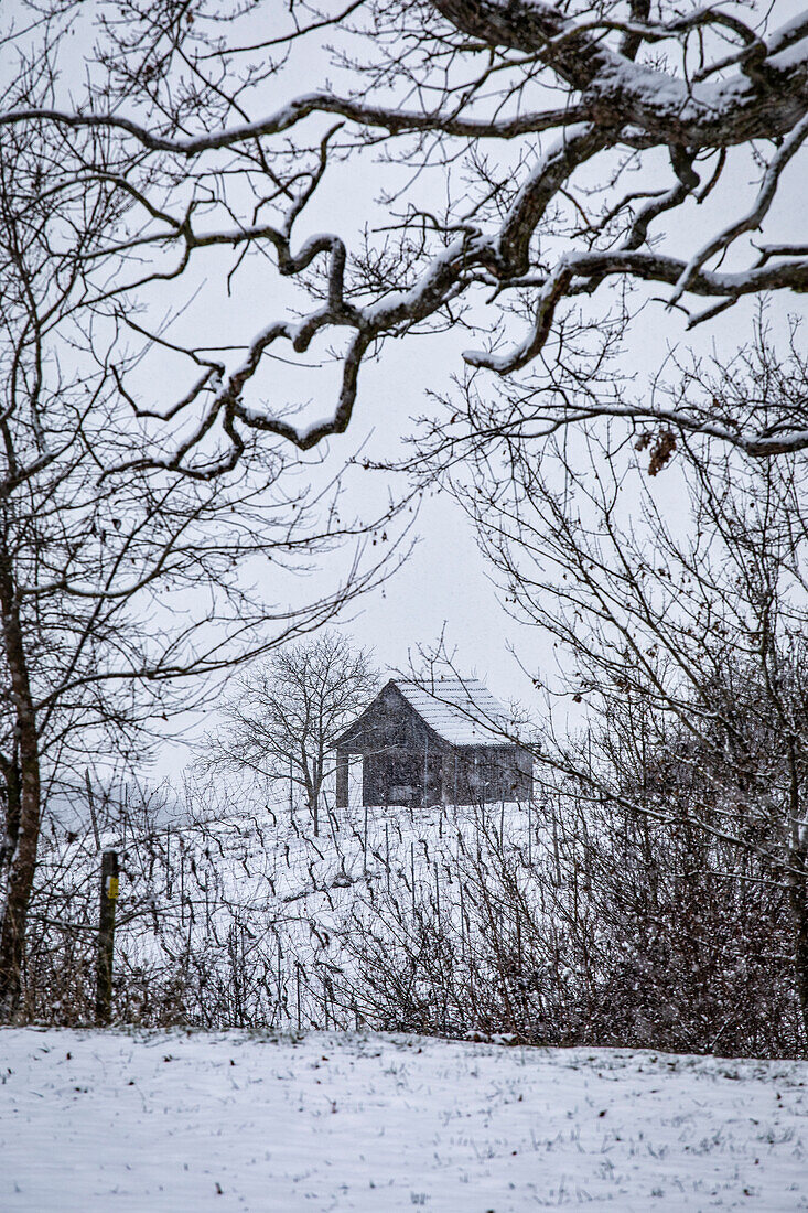 Winter on Herrschaftsberg, Ippesheim, Neustadt an der Aisch, Middle Franconia, Franconia, Bavaria, Germany, Europe