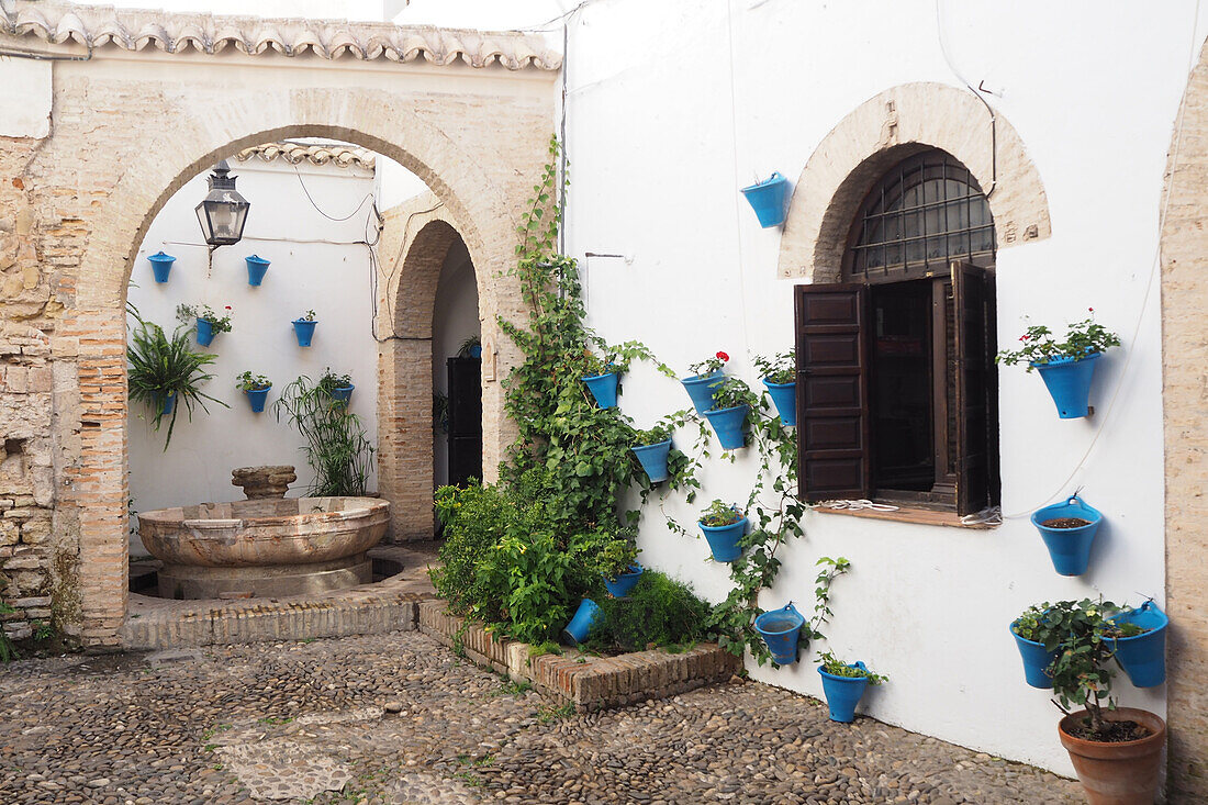 Typical courtyard with wall pots in Cordoba, Andalusia, Spain