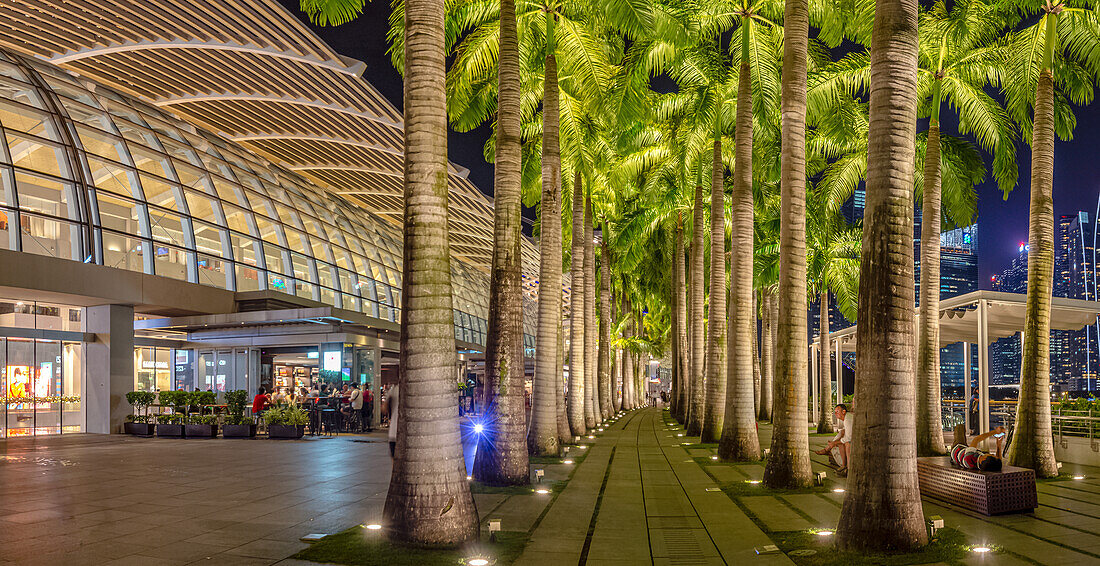 Palmenallee an der Marina Bay Sands Hafenpromenade bei Nacht, Singapur