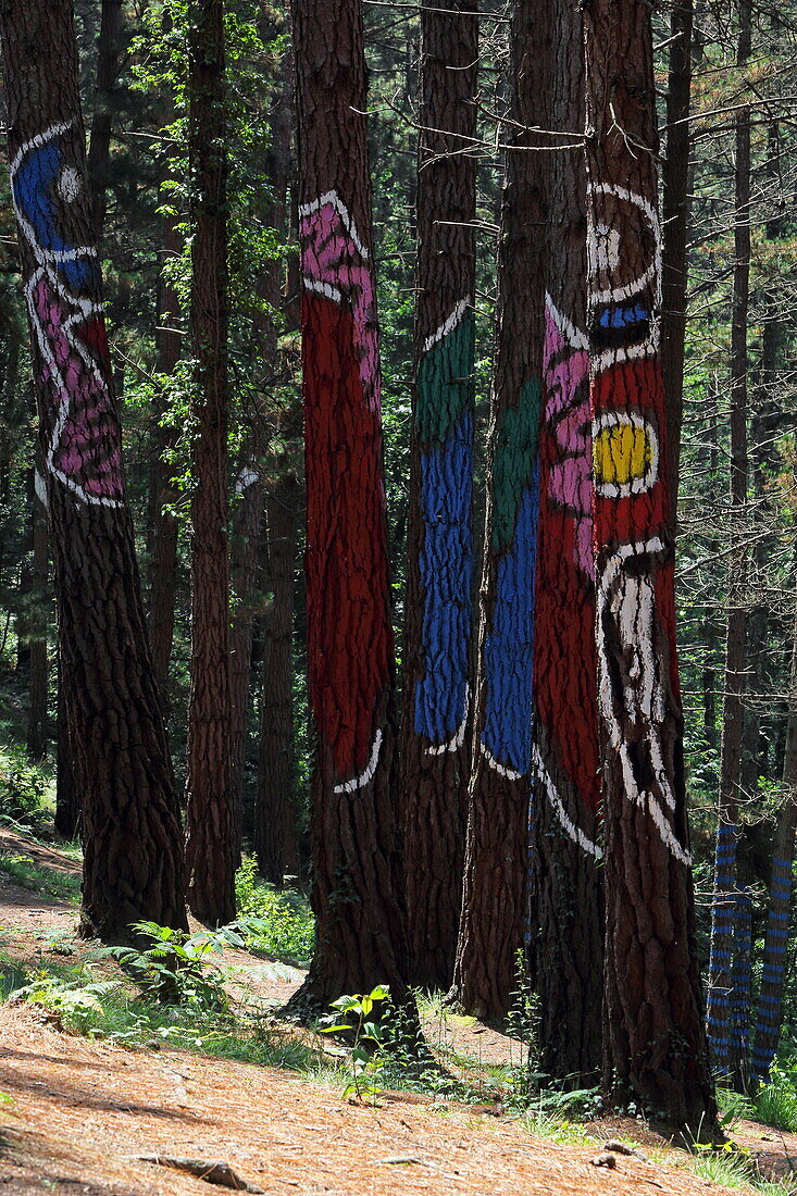 Der bemalte Wald von Oma ist ein LandArt-Projekt des baskischen Künstlers Agustin Ibarrola, Oma-Tal bei Gernika, Urdaibai Biosphere Reserve, Baskenland, Spanien