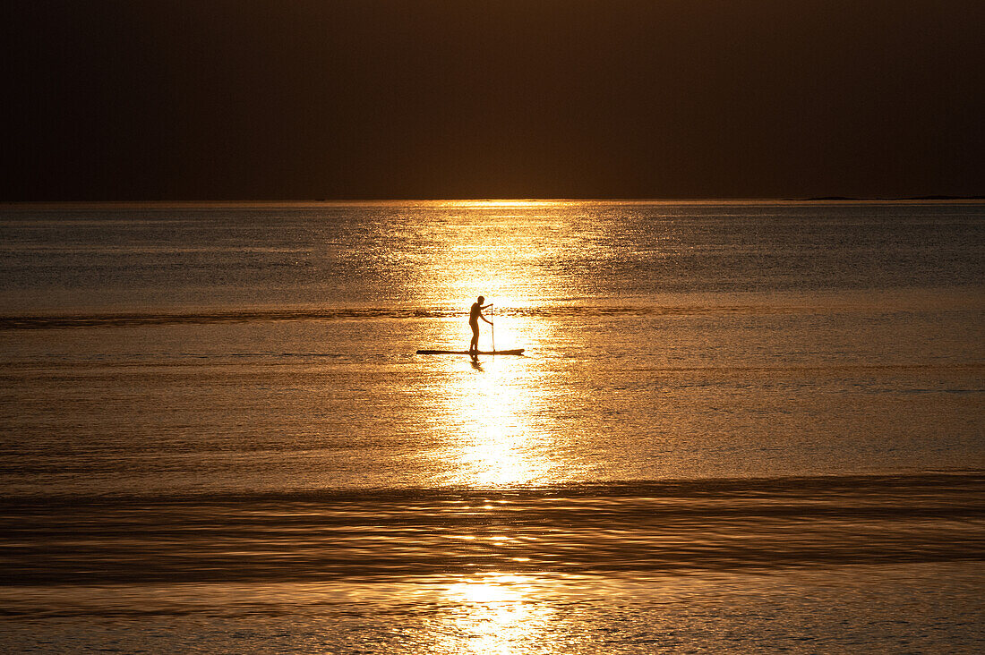 Stand-up-Paddler bei Sonnenuntergang auf dem Meer, Kungsbacka, Halland, Schweden