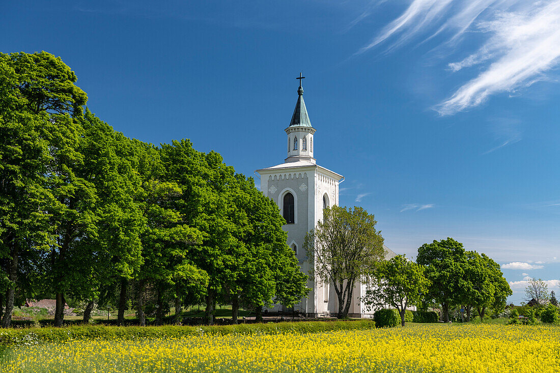 Typische, alte Kirche mit Allee und Rapsfeld an einem schönen Sommertag, Västra Götaland, Schweden