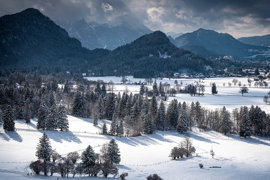 Blick auf die Algäuer Alpen im Winter, Schloss Hohenschwangau, Allgäu, Bayern, Deutschland, Europa