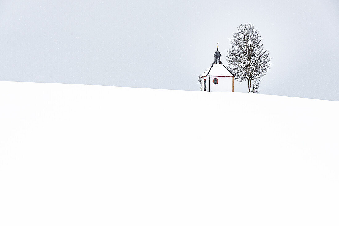 Blick auf eine Kapelle im Schnee und bei Schneefall, Allgäu, Bayern, Deutschland, Europa