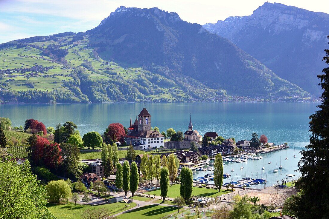 Spiez am Thuner See, Berner Oberland, Schweiz