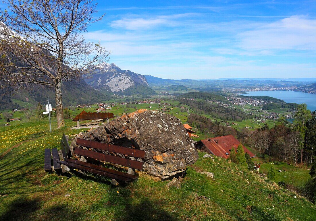 above the Suldtal on Lake Thun, Bernese Oberland, Switzerland