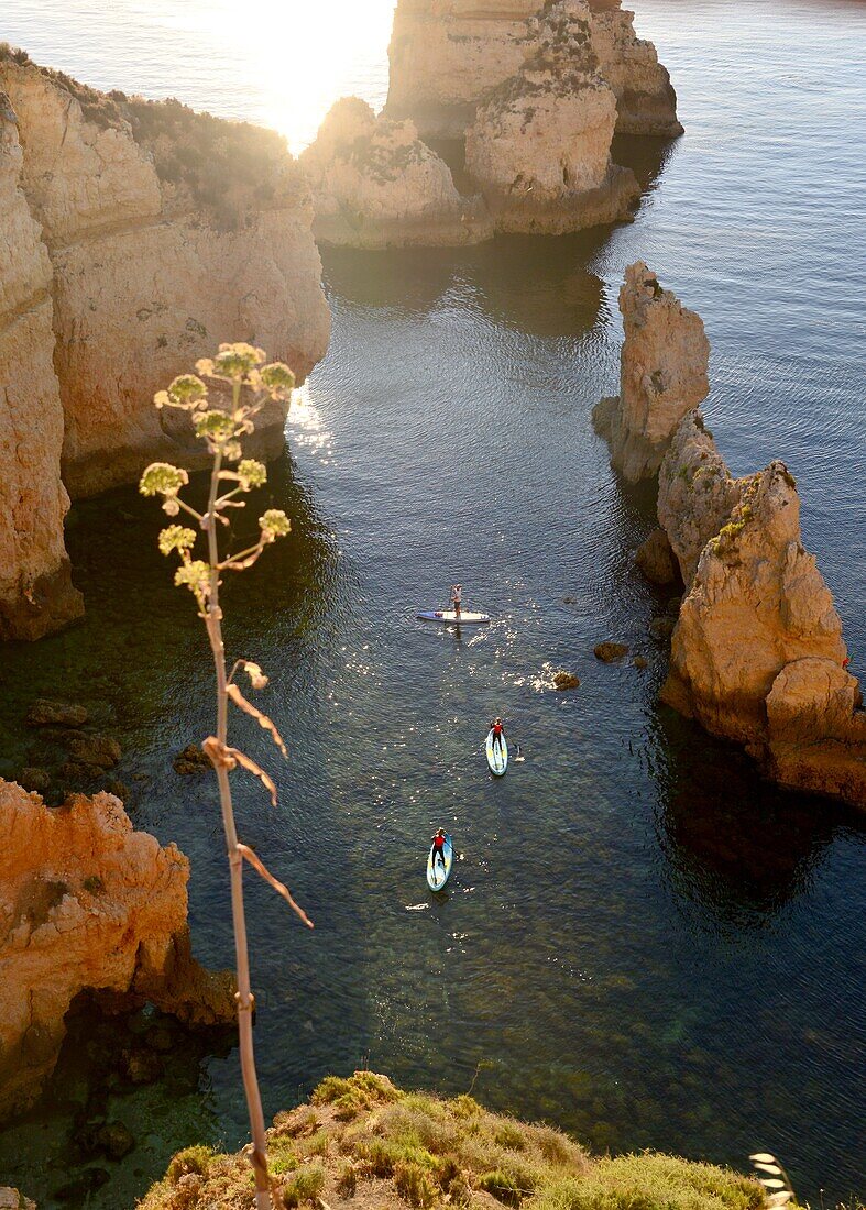 at Ponta da Piedade near Lagos, Algarve, Portugal