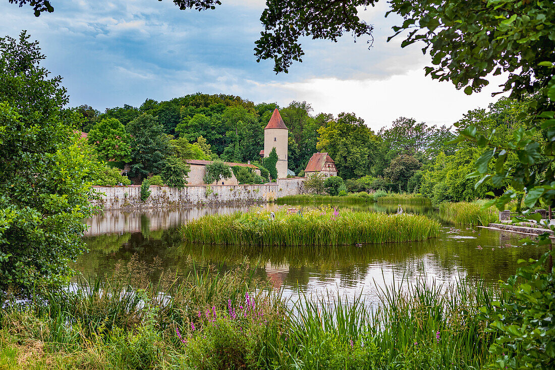 Rothenburg pond in Dinkelsbuehl, Bavaria, Germany