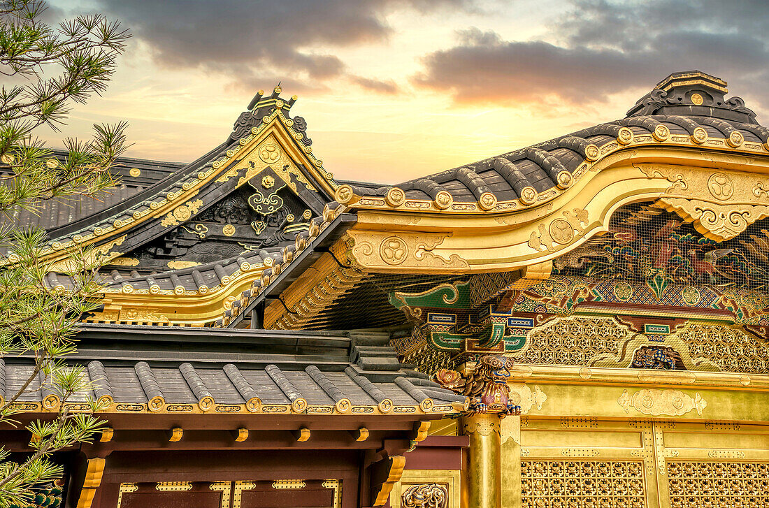 Golden roof at Toshogu Jinja Shrine in Ueno Park, Tokyo, Japan