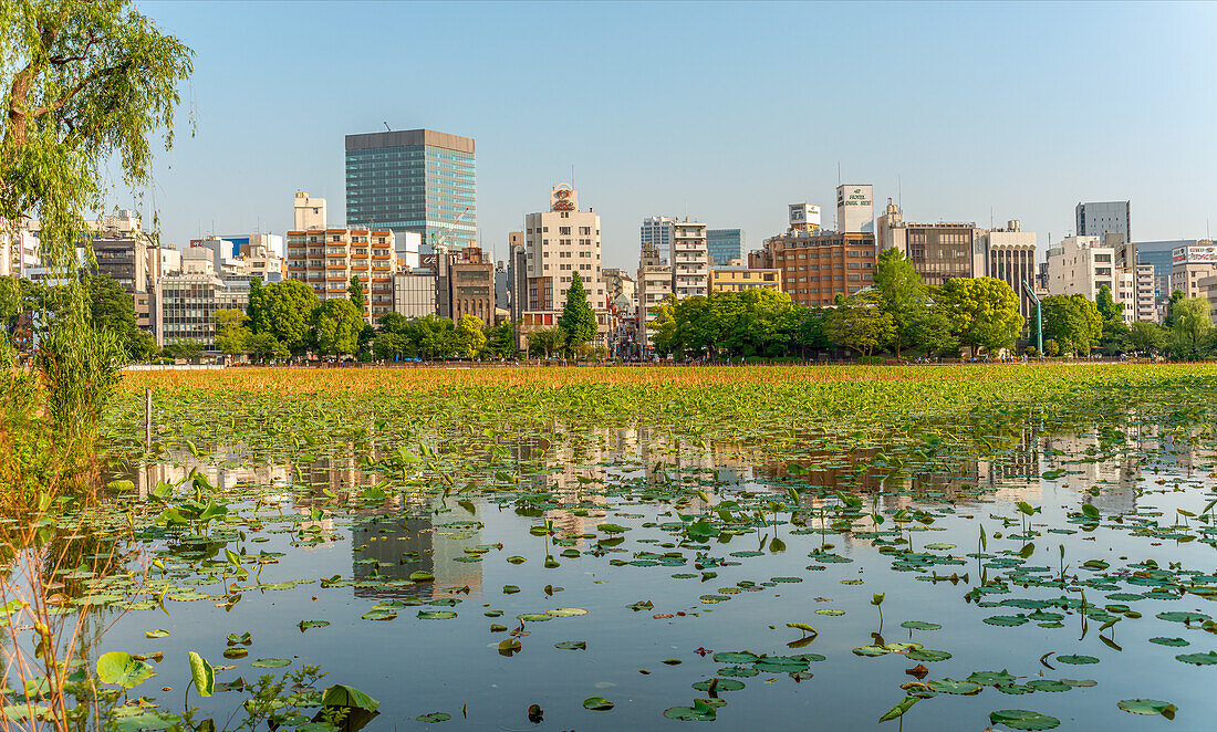 Shinobazu pond im Ueno Park, mit der Skyline von Ueno im Hintergrund, Tokio, Japan