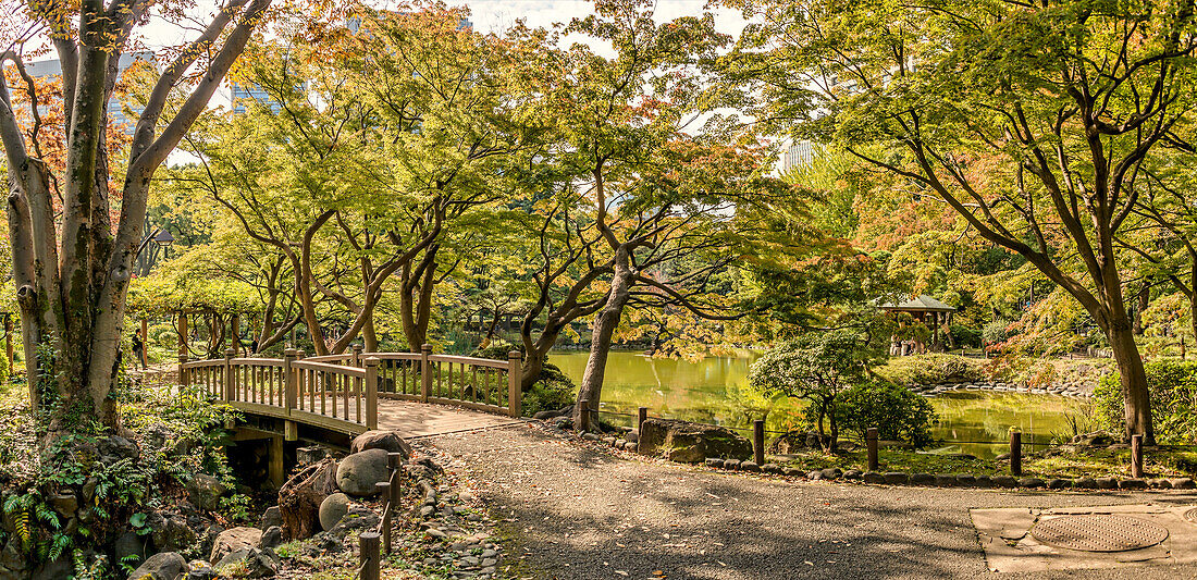 Hibiya Park (Hibiyakōen) im Stadtzentrum von Tokio, Japan, im Herbst