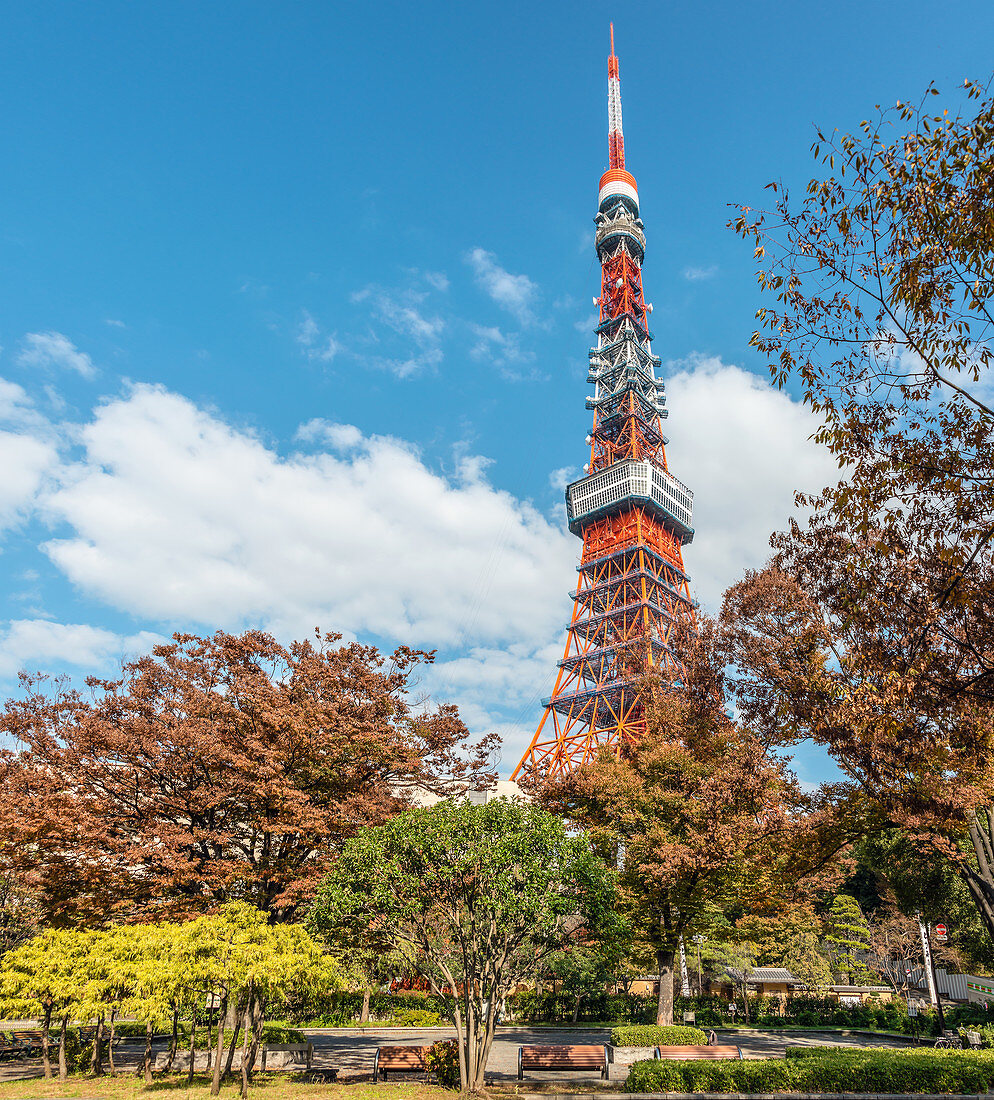 Tokyo Tower vom Shibakoen Park gesehen, Tokio, Japan 