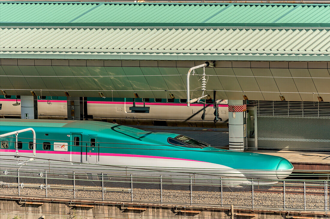 Hayabusa Shinkansen Zug im Bahnhof von Tokio, Japan