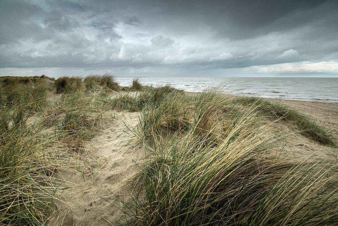 Sand dunes on the North Sea under storm clouds, Schillig, Wangerland, Friesland, Lower Saxony, Germany, Europe
