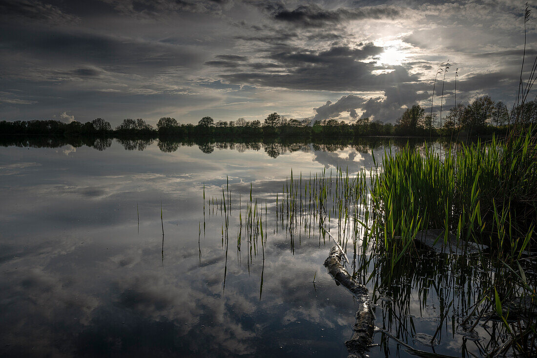 Abendstimmung am Accumer See, Schortens, Friesland, Niedersachsen, Deutschland, Europa