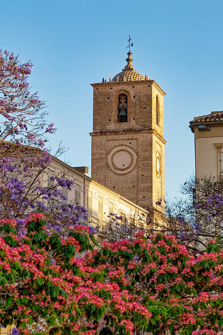 Iglesia de Santiago Apostol, Malaga, Costa del Sol, Provinz Malaga, Andalusien, Spanien, Europa