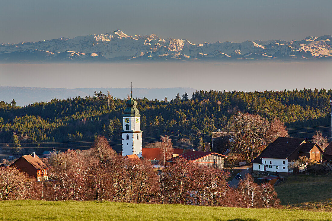 Blick auf Grafenhausen und die Schweizer Alpen, Südlicher Schwarzwald, Schwarzwald, Baden-Württemberg, Deutschland, Europa