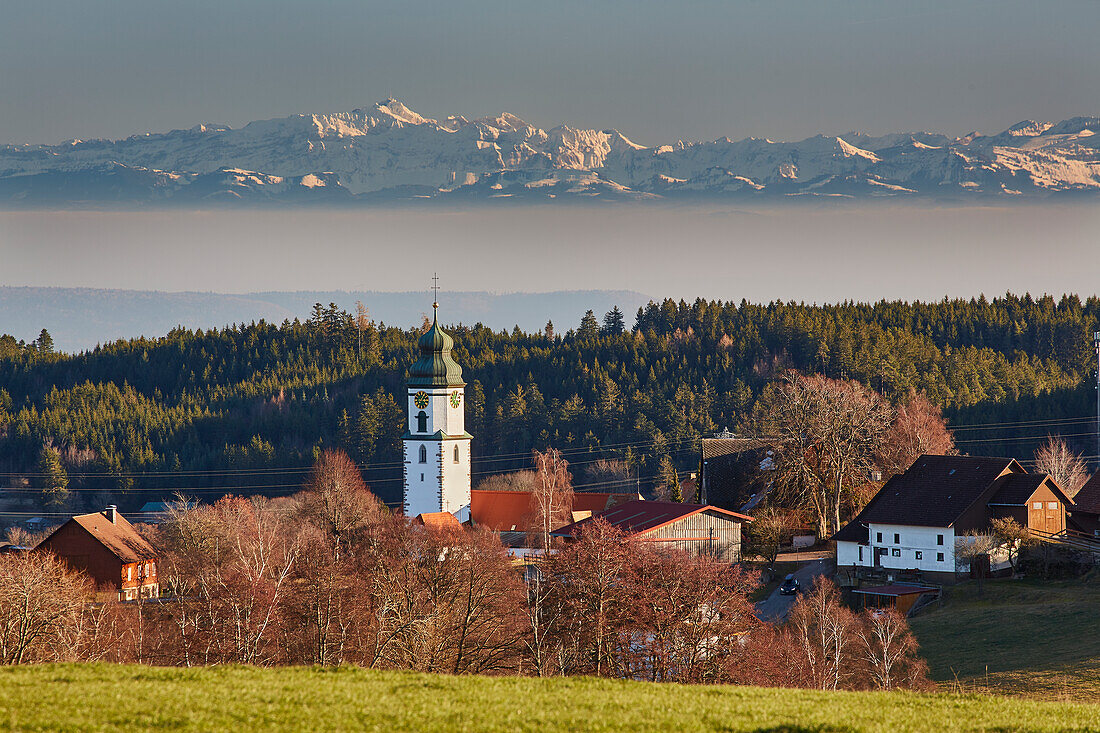 View of Grafenhausen and the Swiss Alps, Southern Black Forest, Black Forest, Baden-Wuerttemberg, Germany, Europe
