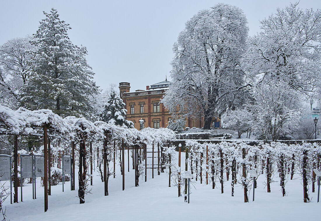 View over vines to the Colombischlössle in Colombipark at Schnee, Freiburg, Breisgau, Southern Black Forest, Black Forest, Baden-Wuerttemberg, Germany, Europe