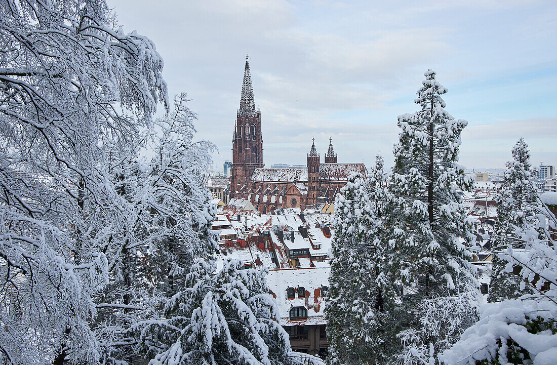 View from the Schlossberg to the cathedral 'Unserer lieben Frau' in snow, Freiburg, Breisgau, Southern Black Forest, Black Forest, Baden-Wuerttemberg, Germany, Europe