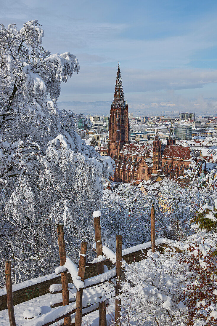 Blick vom Schlossberg zum Münster 'Unserer lieben Frau' bei Schnee, Freiburg, Breisgau, Südlicher Schwarzwald, Schwarzwald, Baden-Württemberg, Deutschland, Europa