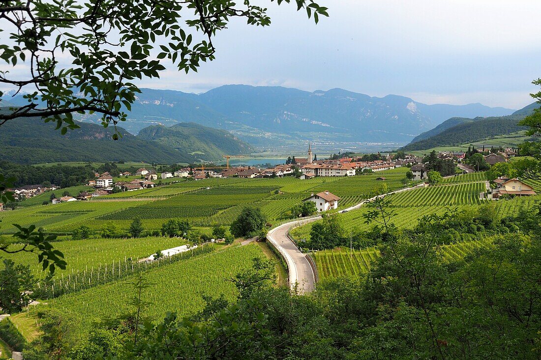 Blick auf Kaltern, Südtirol, Italien