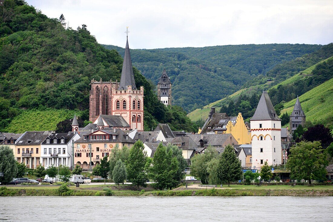 Bacharach mit Weinfeldern am Rhein, Rheinland Pfalz, Deutschland