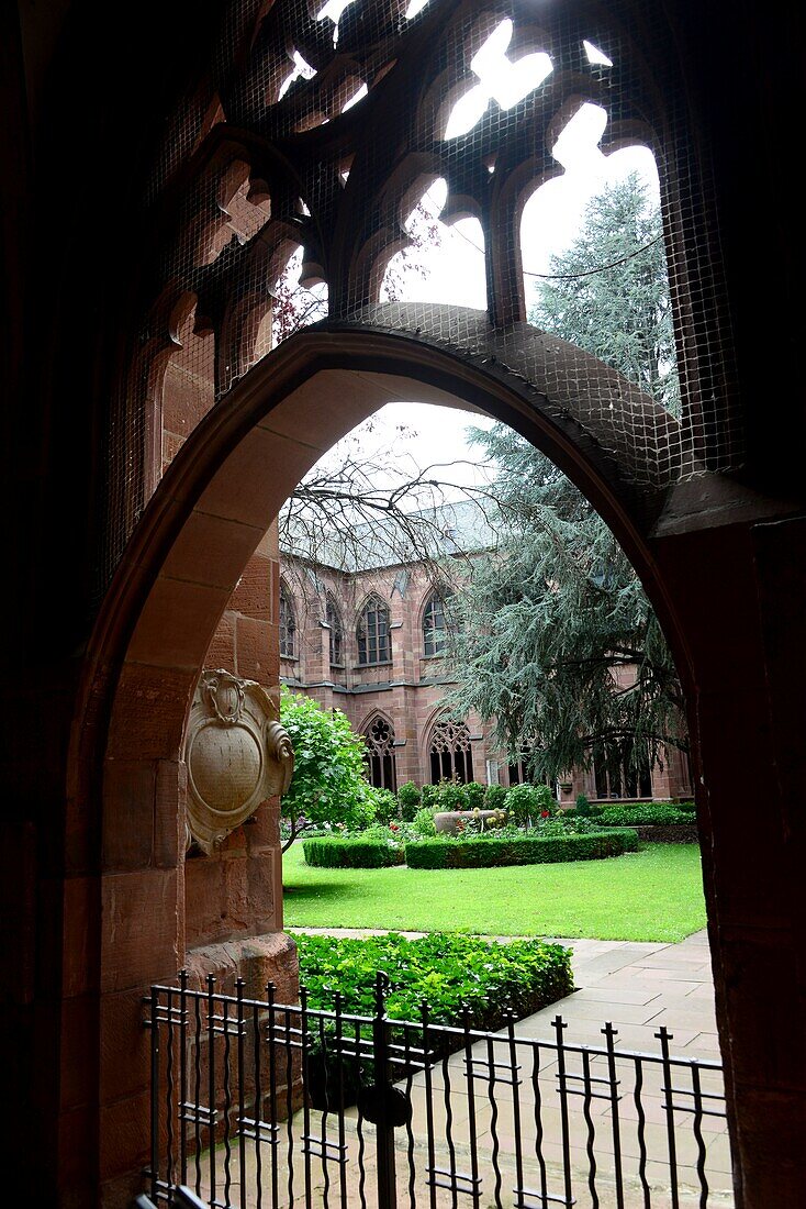 At the cloister of the cathedral of Mainz, Rhineland-Palatinate, Germany