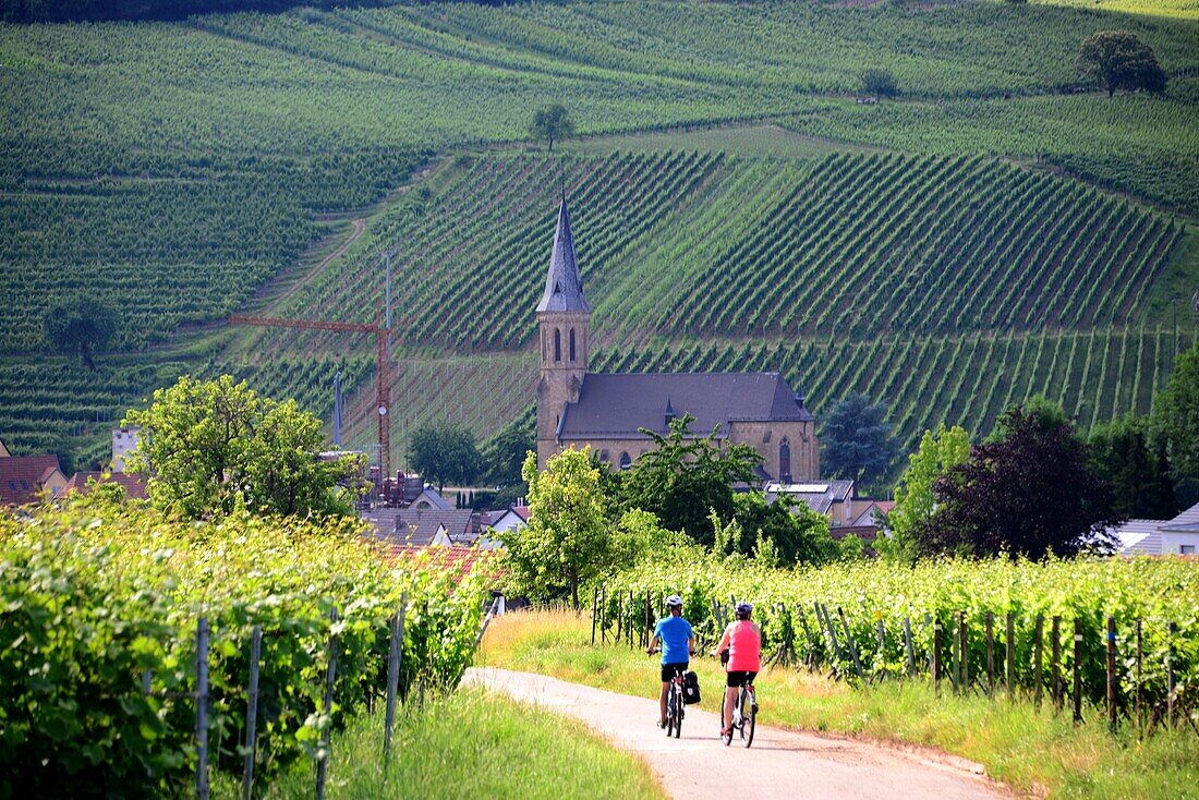Near Birkweiler on the Palatinate Wine Route, Rhineland-Palatinate, Germany